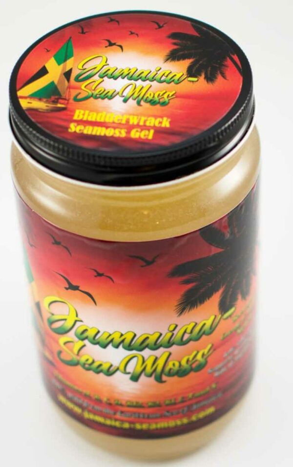 Bladderwrack Sea Moss Gel - Image 3