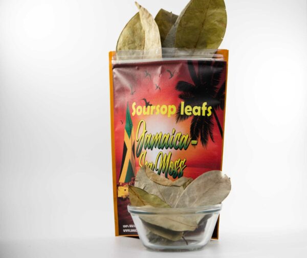 Organic Soursop Leaf - Image 3