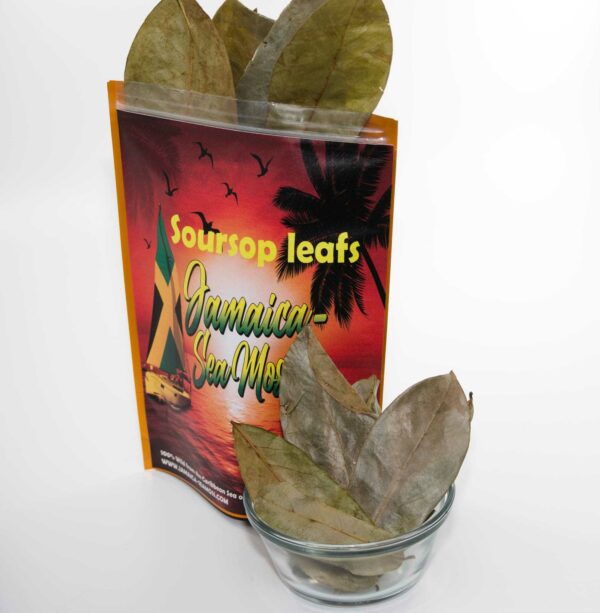 Organic Soursop Leaf - Image 2