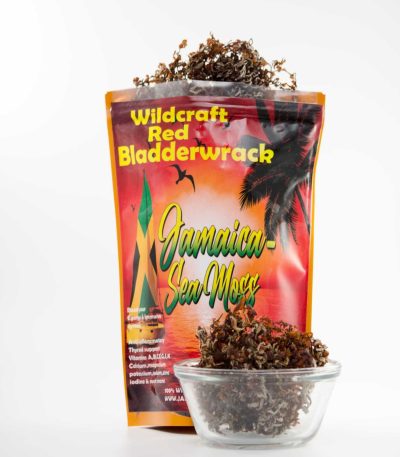 Wildcreaft Red Bladderwrack