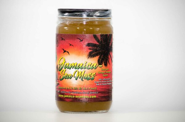Bladderwrack Sea Moss Gel - Image 2