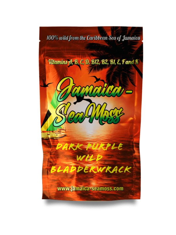 Dark Purple Bladderwrack